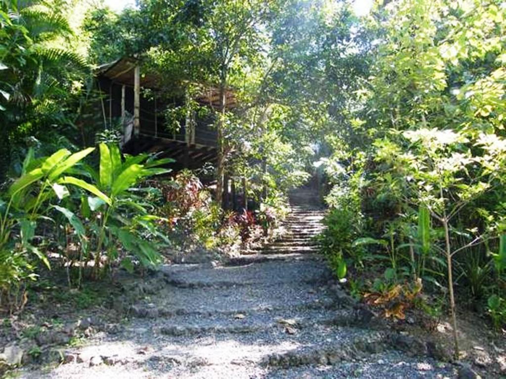 باكيرا Blue Jay Lodge المظهر الخارجي الصورة