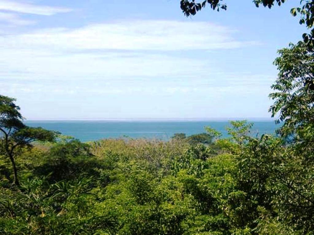 باكيرا Blue Jay Lodge المظهر الخارجي الصورة