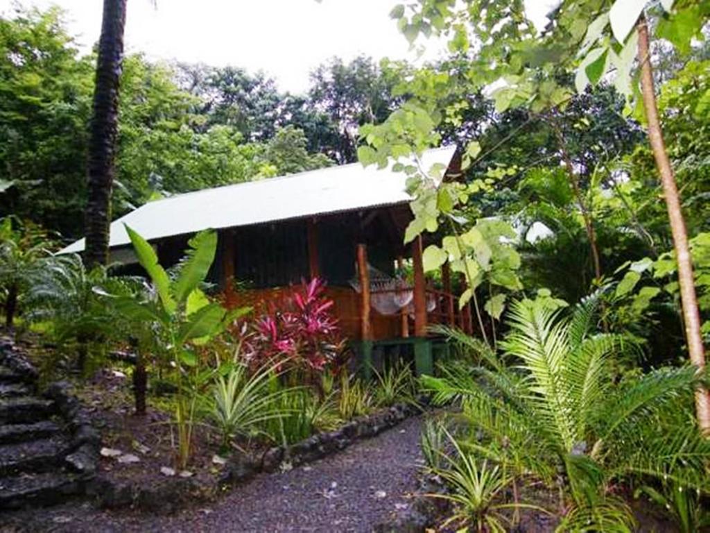 باكيرا Blue Jay Lodge الغرفة الصورة