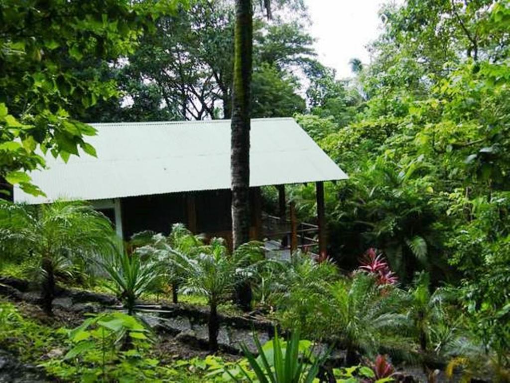 باكيرا Blue Jay Lodge المظهر الخارجي الصورة