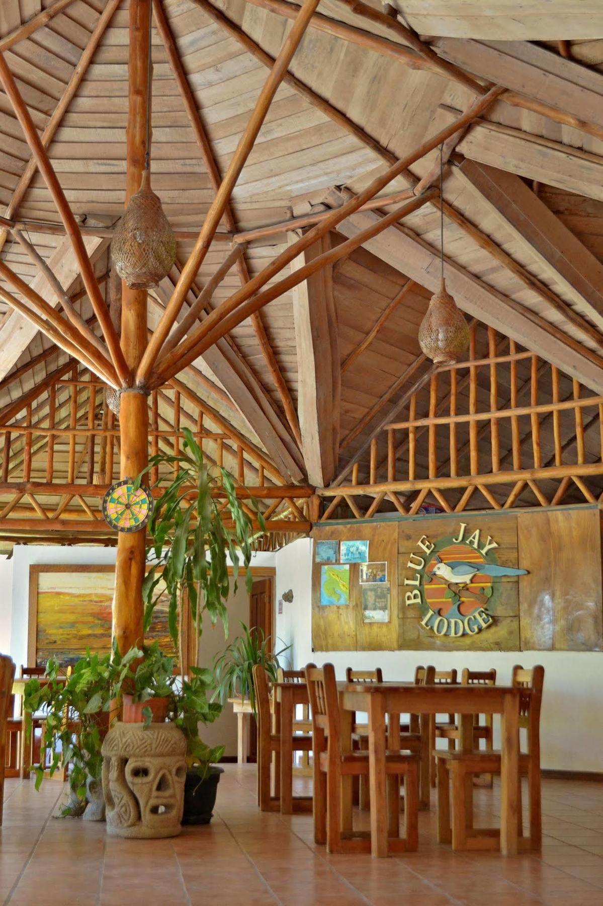 باكيرا Blue Jay Lodge المظهر الخارجي الصورة