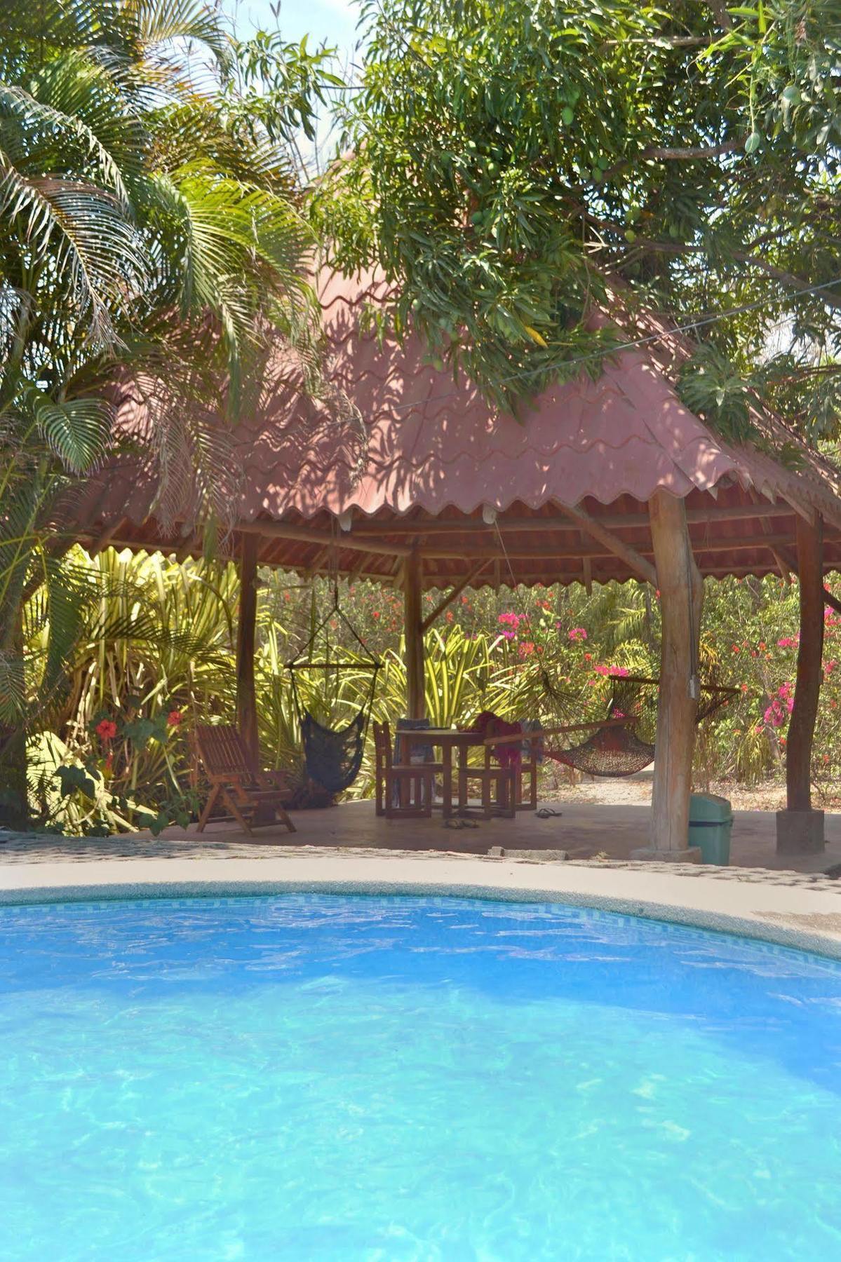 باكيرا Blue Jay Lodge المظهر الخارجي الصورة