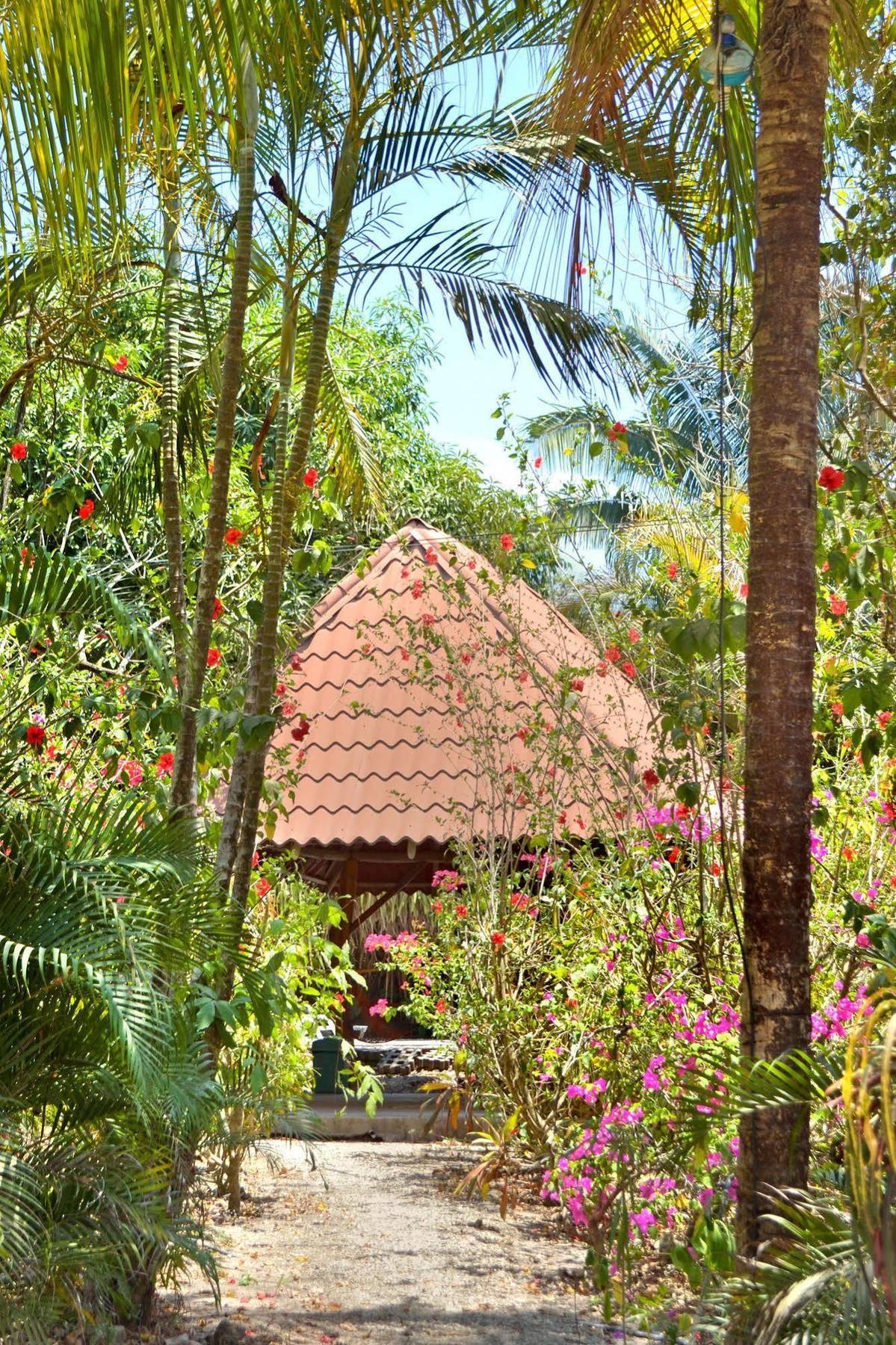 باكيرا Blue Jay Lodge المظهر الخارجي الصورة