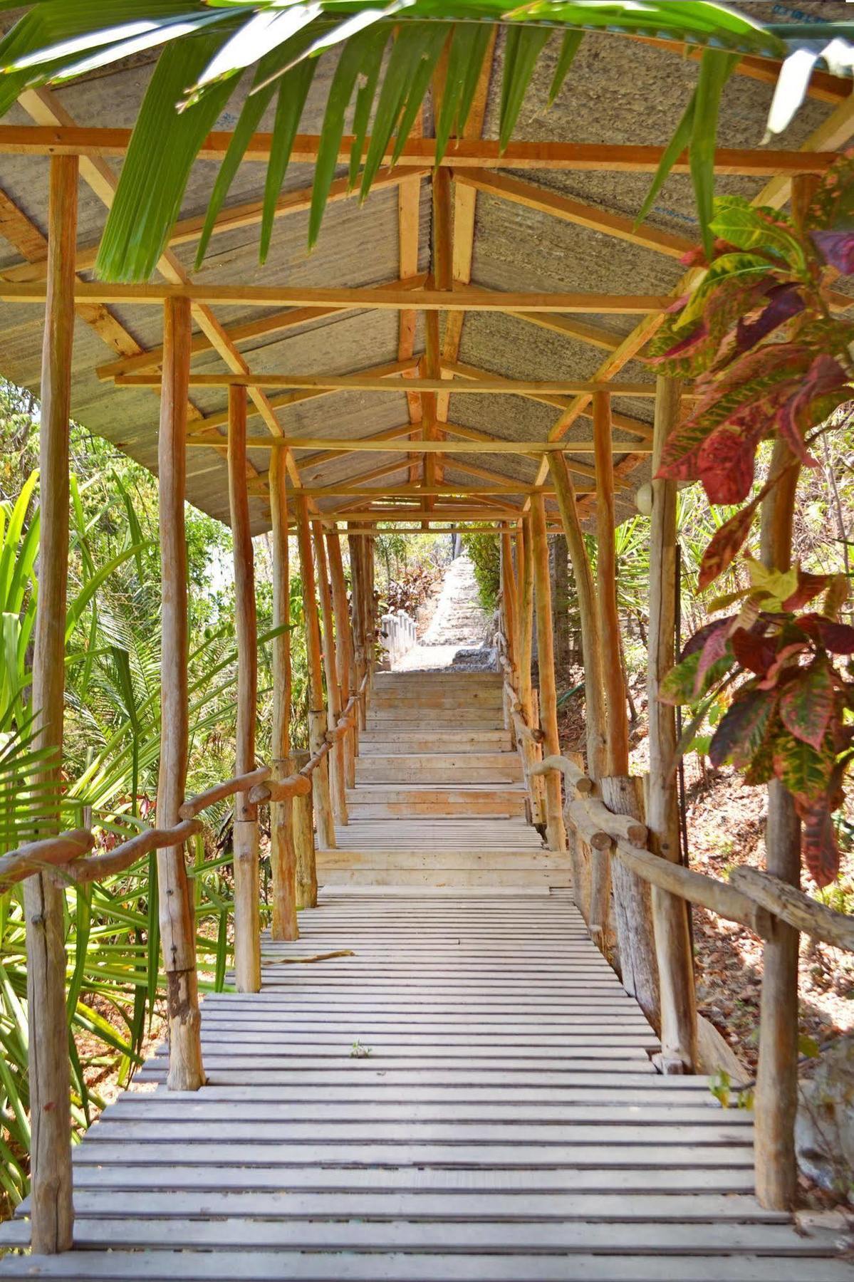 باكيرا Blue Jay Lodge المظهر الخارجي الصورة